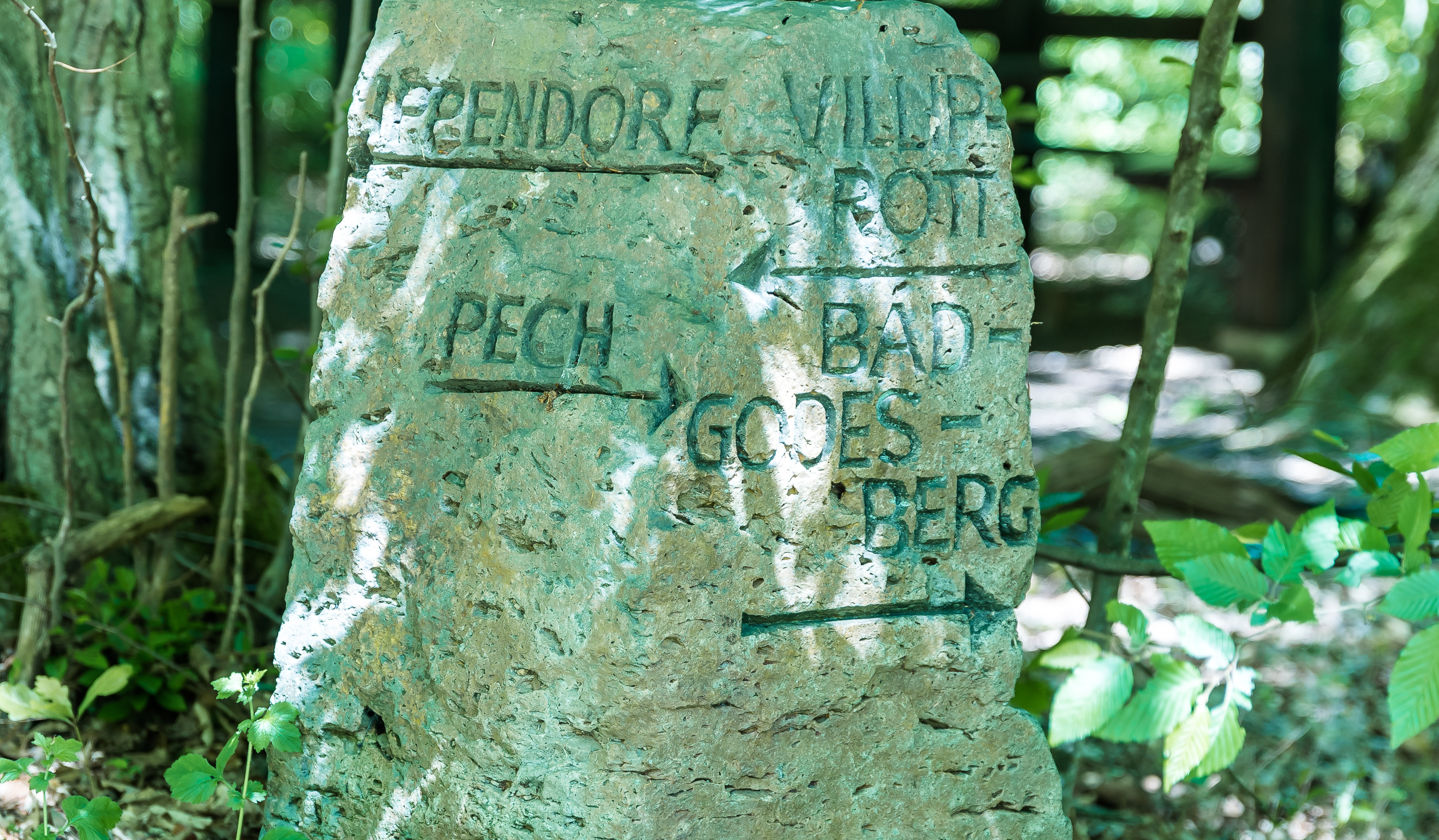 Aufnahme eines Wegesteins im südlichen Kottenforst.