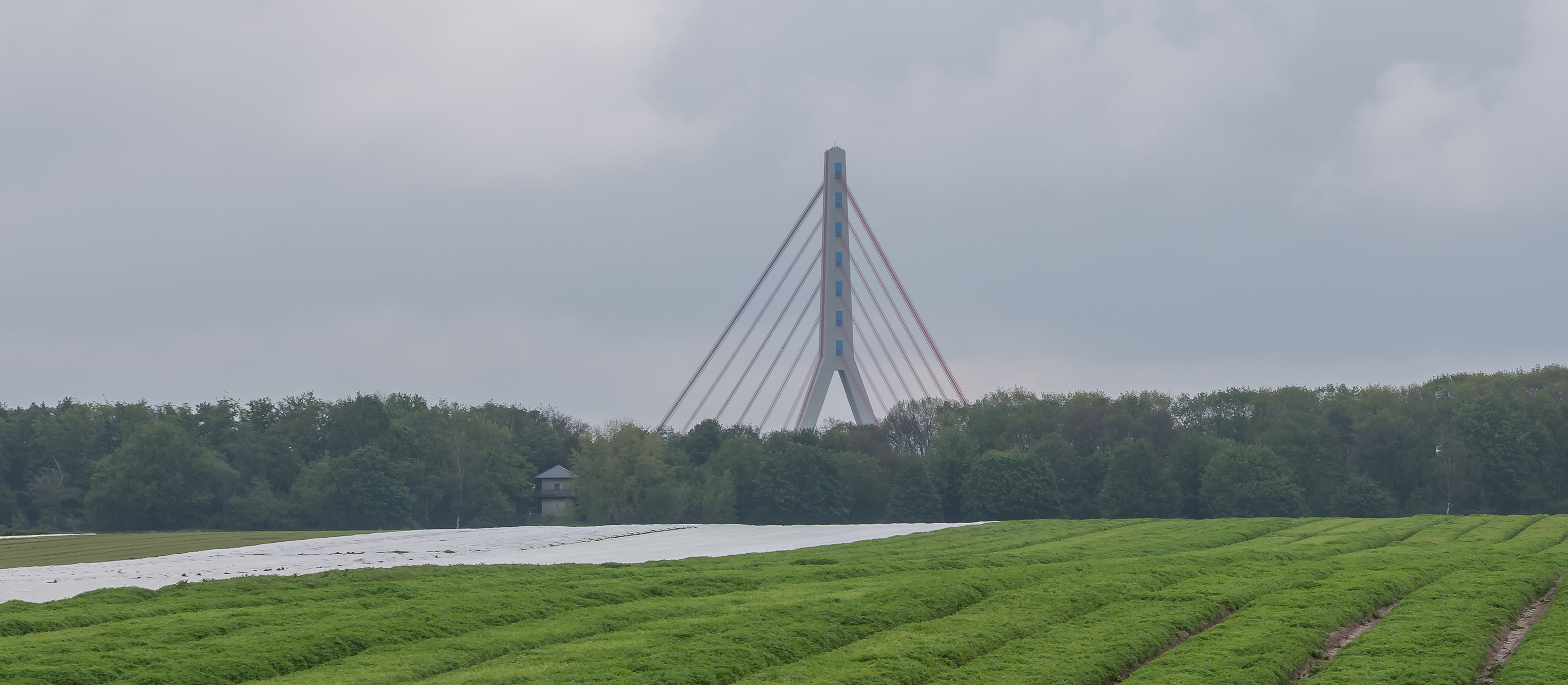 Landschaftsansicht mit Ackerfläche im Vordergrund. Der Hintergrund zeigt einen Waldzug sowie Dach und Obergeschoss des rekonstruierten römischen Wachturms. Rechts von ihm ragen die Seile der Rheinbrücke bei Neuss in den grauen Himmel.