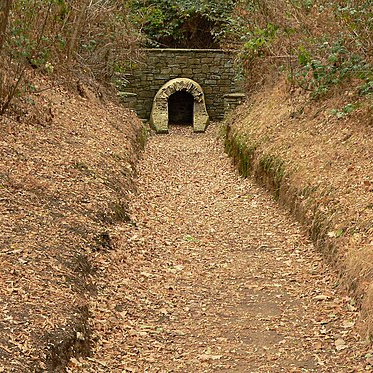 Foto der gemauerten Öffnung des  Aufschlusses der römischen Eifelwasserleitung nach Köln im Wald bei Buschhoven. Im belaubten Waldboden ist der weitere Verlauf der Leitung angedeutet.