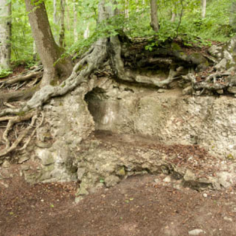 Teilstück der römischen Eifelwasserleitung